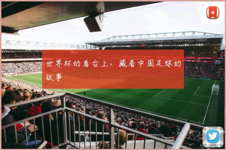 世界杯的看台上，藏着中国足球的故事