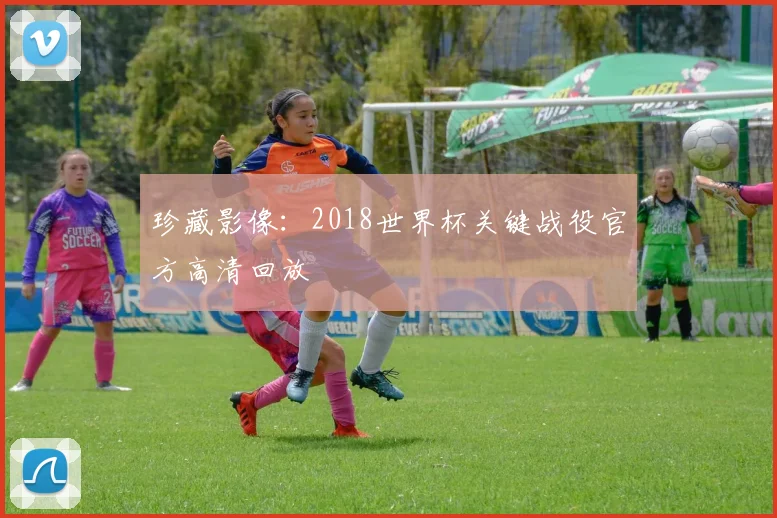 珍藏影像：2018世界杯关键战役官方高清回放