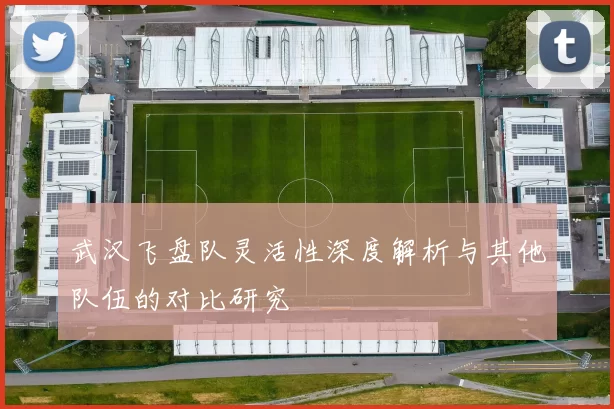武汉飞盘队灵活性深度解析与其他队伍的对比研究