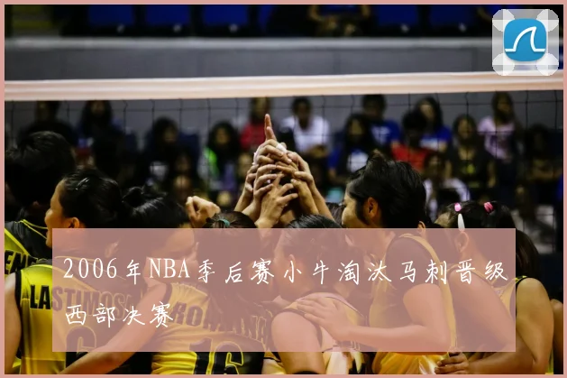 2006年NBA季后赛小牛淘汰马刺晋级西部决赛