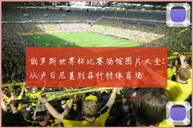 俄罗斯世界杯比赛场馆图片大全:从卢日尼基到菲什特体育场
