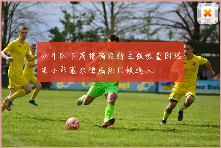 公牛队下周将确定新主教练奎因诺里小昂塞尔德成热门候选人