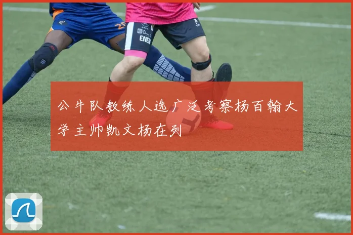 公牛队教练人选广泛考察杨百翰大学主帅凯文杨在列