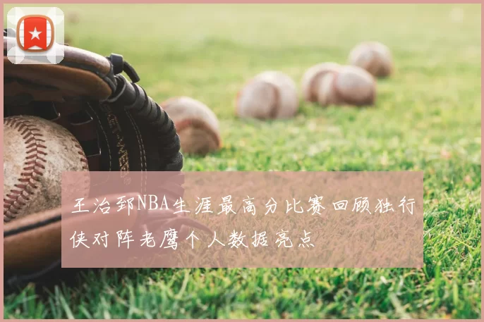 王治郅NBA生涯最高分比赛回顾独行侠对阵老鹰个人数据亮点
