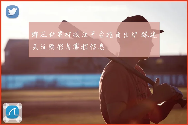 哪压世界杯投注平台指南出炉 球迷关注购彩与赛程信息