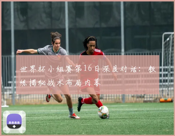 世界杯小组赛第16日深度对话:教练揭秘战术布局内幕