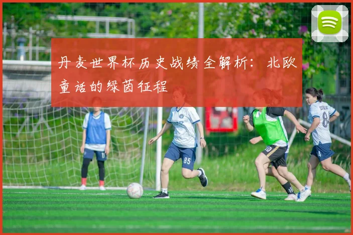 丹麦世界杯历史战绩全解析:北欧童话的绿茵征程
