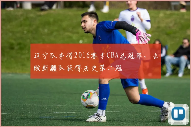 辽宁队夺得2016赛季CBA总冠军，击败新疆队获得历史第二冠