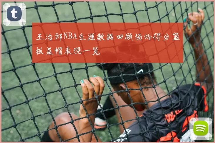 王治郅NBA生涯数据回顾场均得分篮板盖帽表现一览