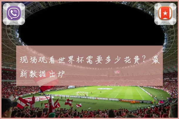 现场观看世界杯需要多少花费？最新数据出炉