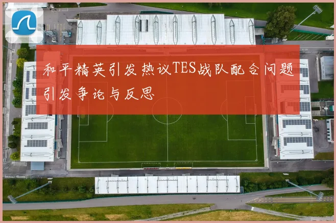 和平精英引发热议TES战队配合问题引发争论与反思