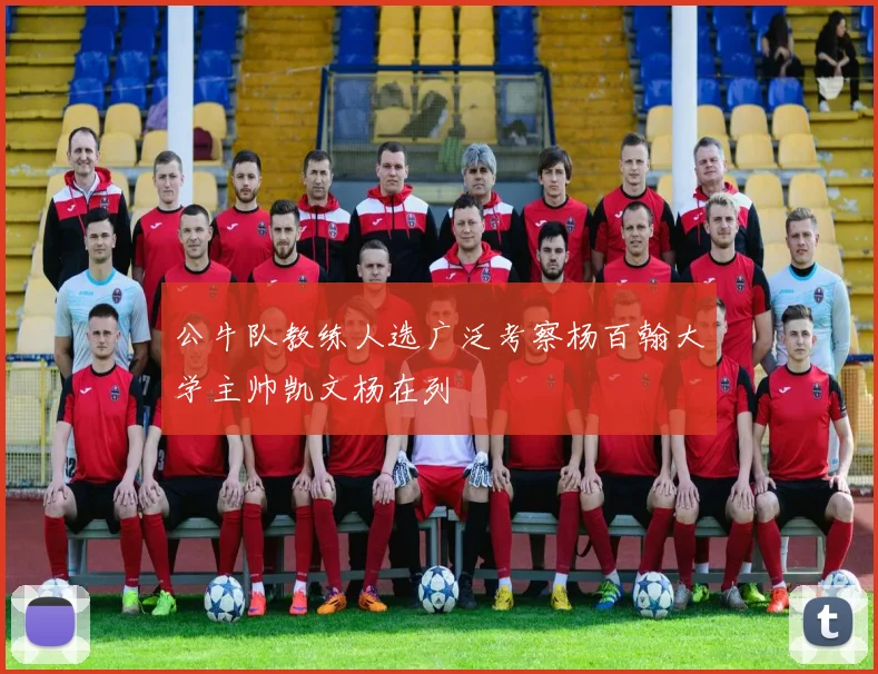 公牛队教练人选广泛考察杨百翰大学主帅凯文杨在列