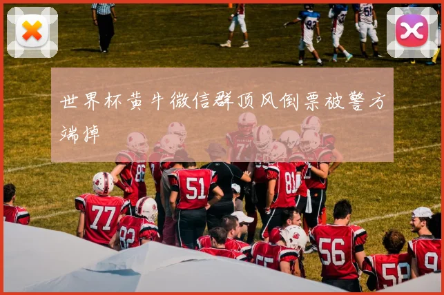 世界杯黄牛微信群顶风倒票被警方端掉