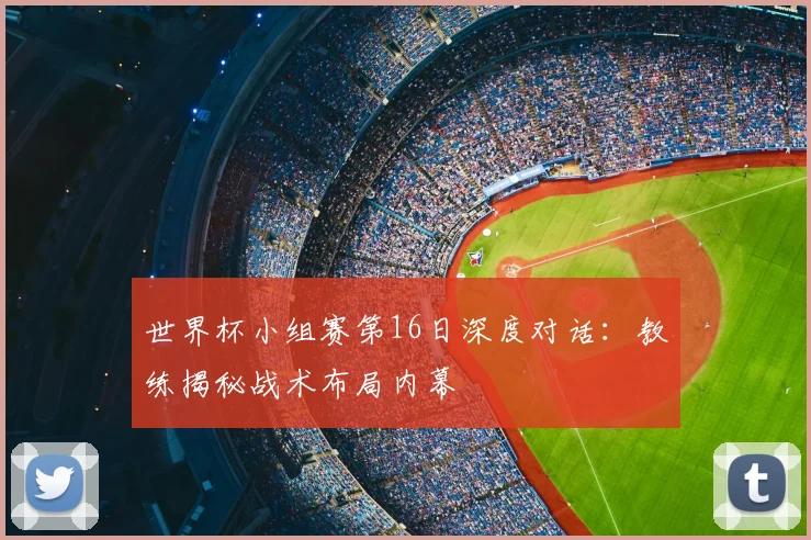 世界杯小组赛第16日深度对话：教练揭秘战术布局内幕