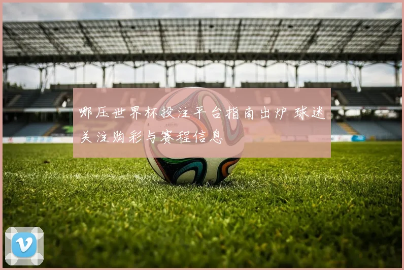 哪压世界杯投注平台指南出炉 球迷关注购彩与赛程信息
