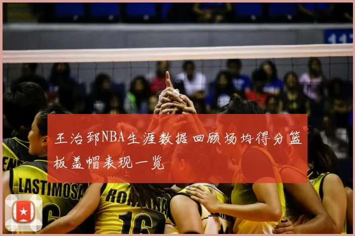 王治郅NBA生涯数据回顾场均得分篮板盖帽表现一览