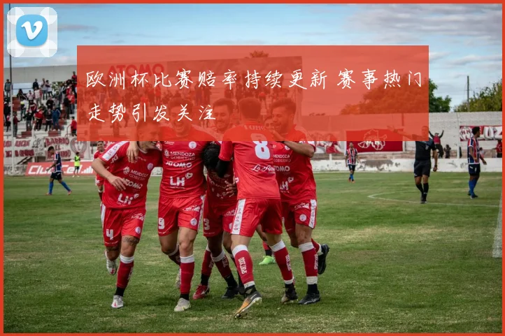 欧洲杯比赛赔率持续更新 赛事热门走势引发关注