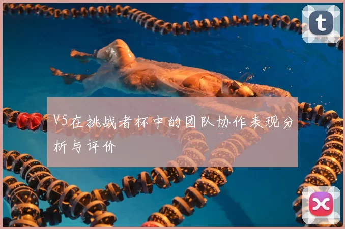 V5在挑战者杯中的团队协作表现分析与评价