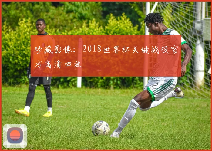 珍藏影像：2018世界杯关键战役官方高清回放