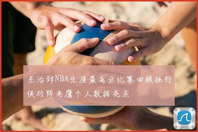 王治郅NBA生涯最高分比赛回顾独行侠对阵老鹰个人数据亮点