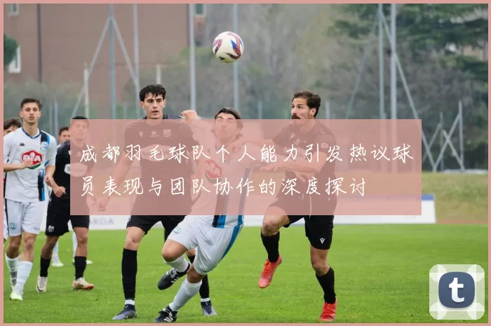 成都羽毛球队个人能力引发热议球员表现与团队协作的深度探讨