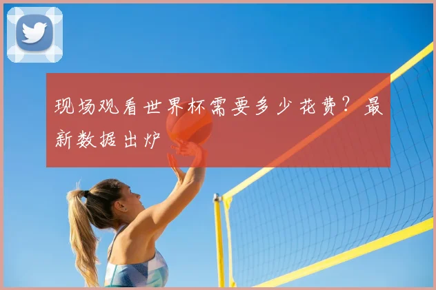 现场观看世界杯需要多少花费?最新数据出炉